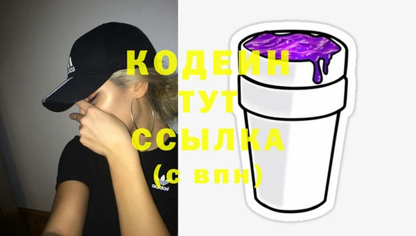 амф Пересвет