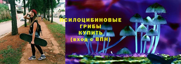 амф Пересвет