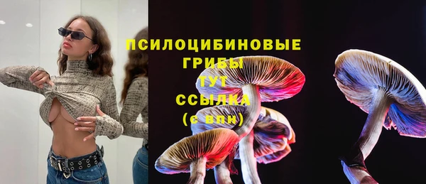 амф Пересвет